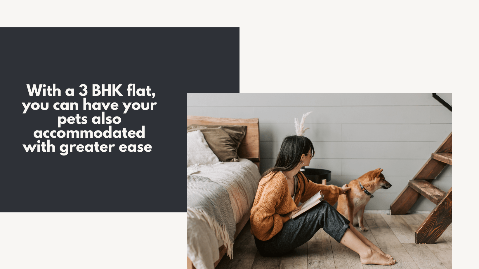 6 compelling reasons to go for a 3 BHK flat in Hyderabad 5 With a 3 BHK flat, you can have your pets also accommodated with greater ease