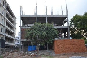 Tamannagreens 8