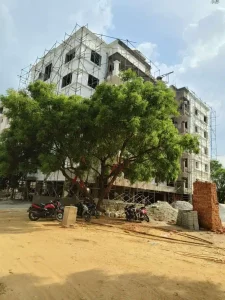 tamannagreens 3 1