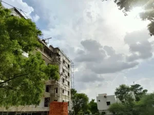 tamannagreens 4 3